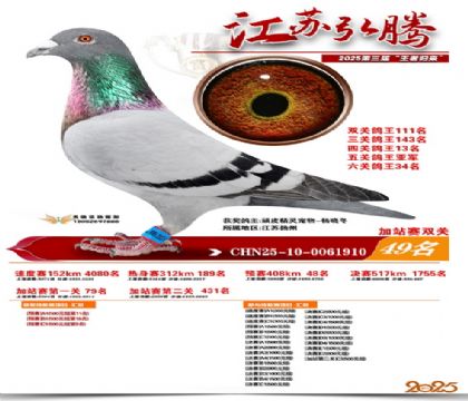 ����˫�ؼ�վ��49��