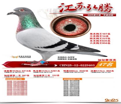 ����˫�ؼ�վ��47��