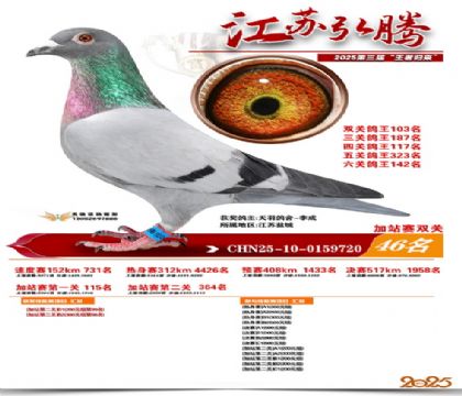 ����˫�ؼ�վ��46��