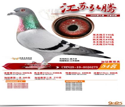 ����˫�ؼ�վ��54��