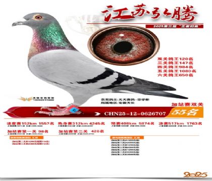 ����˫�ؼ�վ��55��