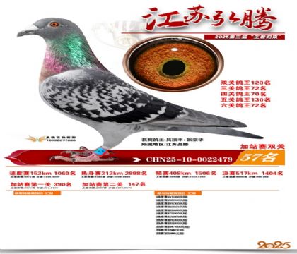 ����˫�ؼ�վ��57��