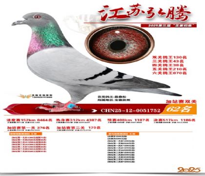 ����˫�ؼ�վ��62��