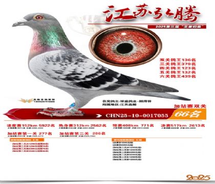 ����˫�ؼ�վ��66��