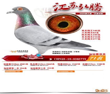 ����˫�ؼ�վ��71��