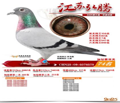 ����˫�ؼ�վ��74��