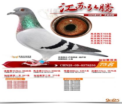 ����˫�ؼ�վ��75��