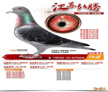 ����˫�ؼ�վ��78��