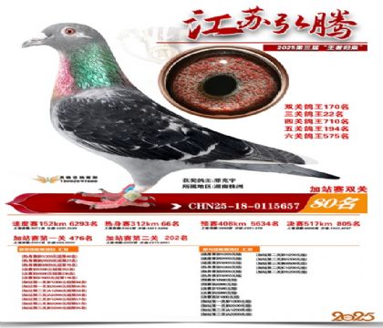 ����˫�ؼ�վ��80��