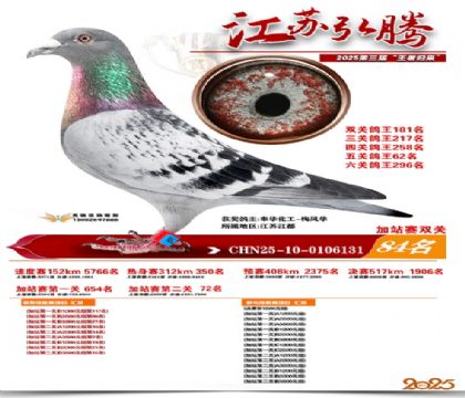 ����˫�ؼ�վ��84��