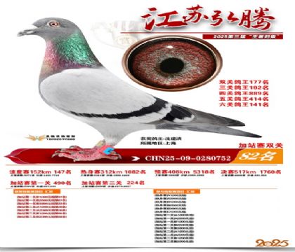 ����˫�ؼ�վ��82��