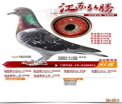 ����˫�ؼ�վ��81��