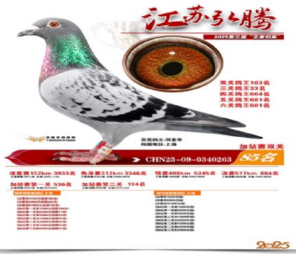 ����˫�ؼ�վ��85��