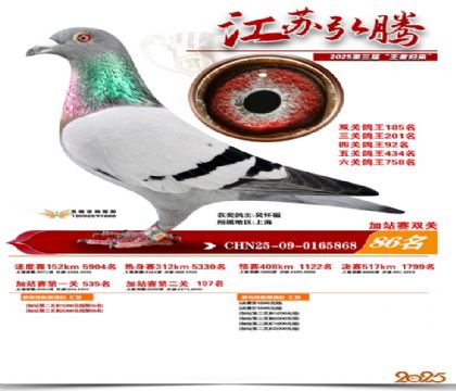 ����˫�ؼ�վ��86��