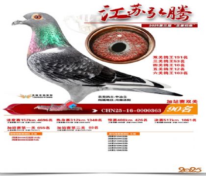 ����˫�ؼ�վ��90��