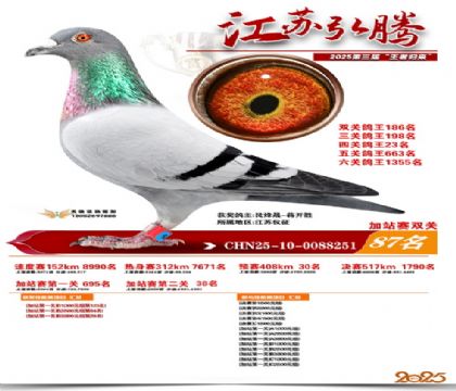 ����˫�ؼ�վ��87��