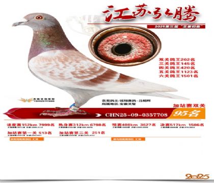 ����˫�ؼ�վ��95��