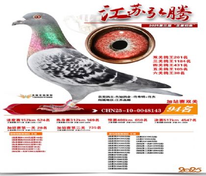 ����˫�ؼ�վ��94��