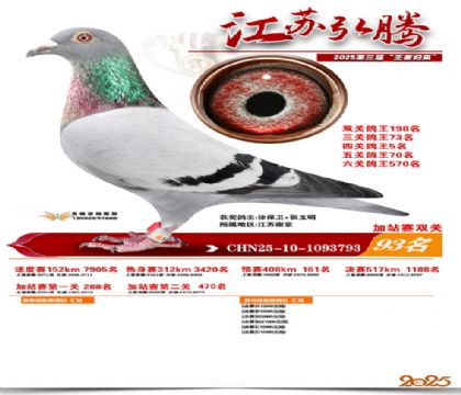 ����˫�ؼ�վ��93��