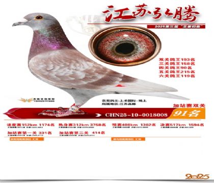 ����˫�ؼ�վ��91��