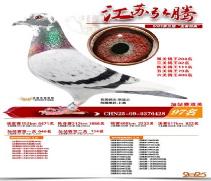 ����˫�ؼ�վ��97��