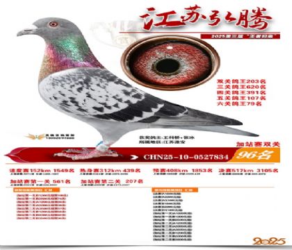 ����˫�ؼ�վ��96��