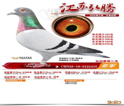 弘腾加站赛第二关亚军