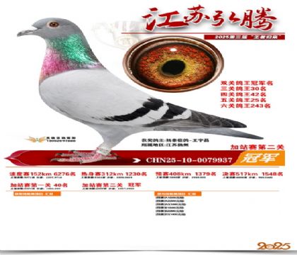 弘腾加站赛第二关冠军