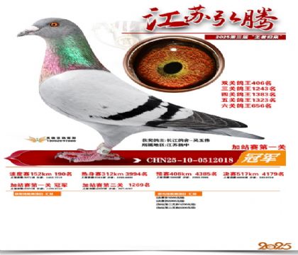 弘腾加站赛第一关冠军