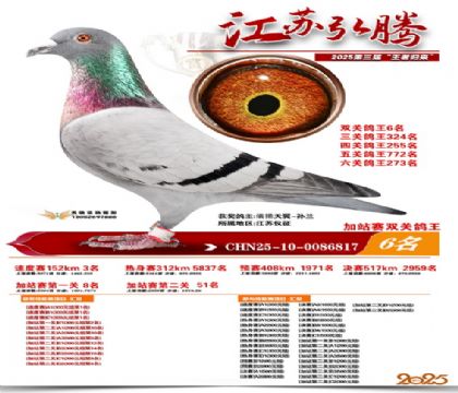 弘腾加站赛双关鸽王6名