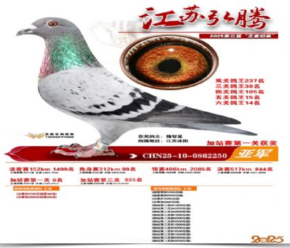 弘腾加站赛第一关获奖亚军