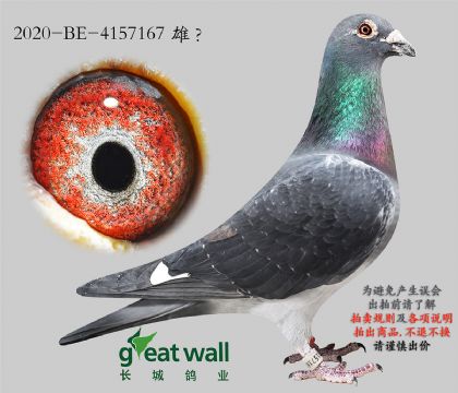 3.���ùھ�x��ʱ��ȫ��.4157167