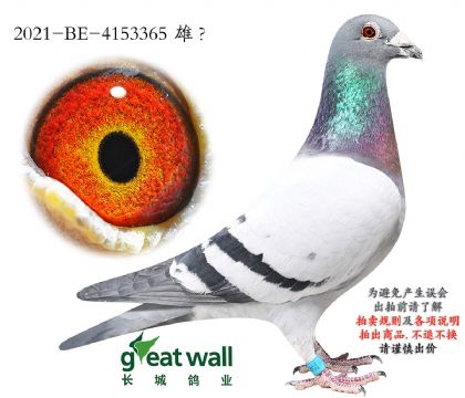 2.������ķ�ȷ�ֱ��.4153365