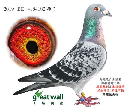 1.�ƽ�����xǪ��.4184182