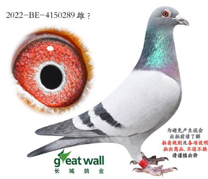 6.������ķ�ȷ�ֱ��.4150289