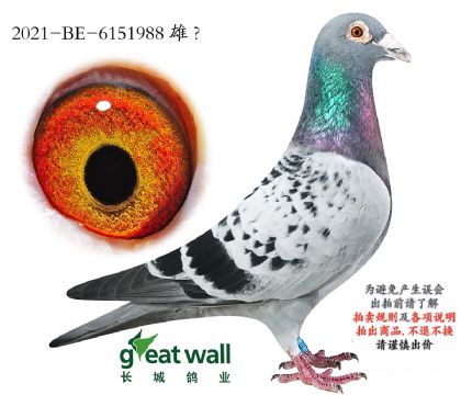 8.������ԭ��.6151988