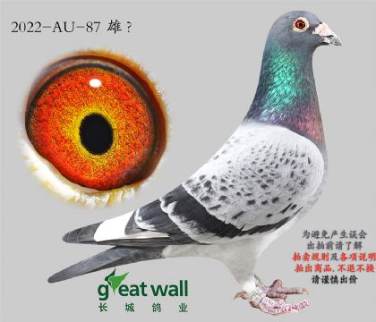 11.ά�������漣.87