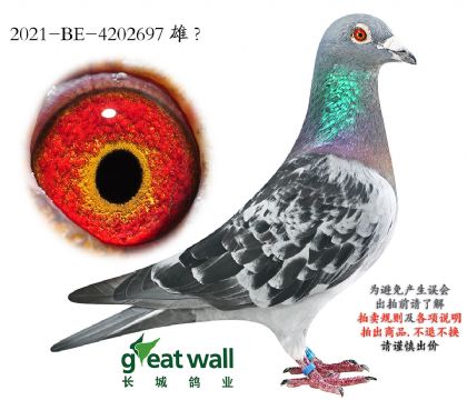 10.��ѻ��ض�2��ֱ��.4202697