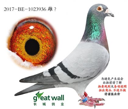 12.������������ѻ��ض�.1023936