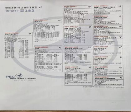 1.�ƽ�����xǪ��.4184182x1