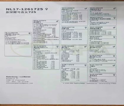 4.����ҫ��ֱŮ.1261725x1