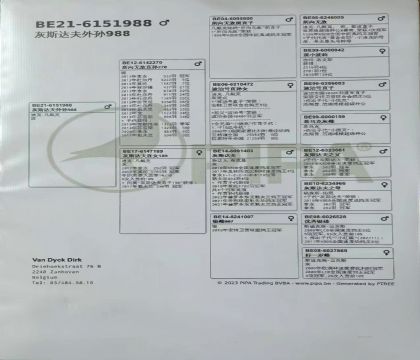 8.������ԭ��.6151988x1