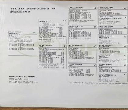 9.�±���263��.3950263x1