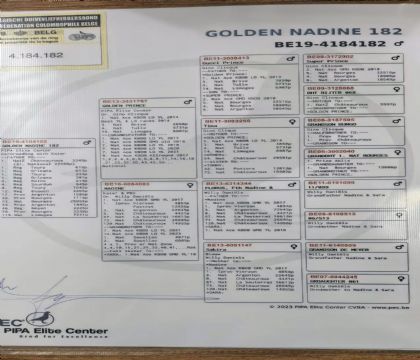 1.�ƽ�����xǪ��.4184182x2