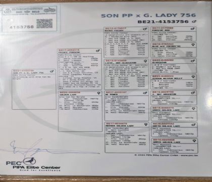 7.��ʱ������ֱ��.4153756x2