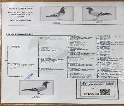 8.������ԭ��.6151988x2