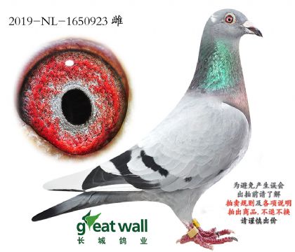 2.����ҫ��ֱŮ.1650923