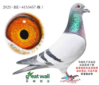 3.������ķ�ȷ�ֱ��.4153457