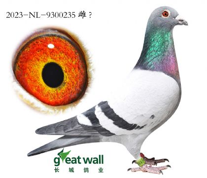 4.�ܷ�ֱ��.9300235