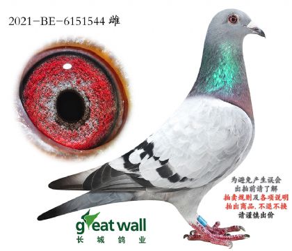 6.����������ղ��˹���.6151544